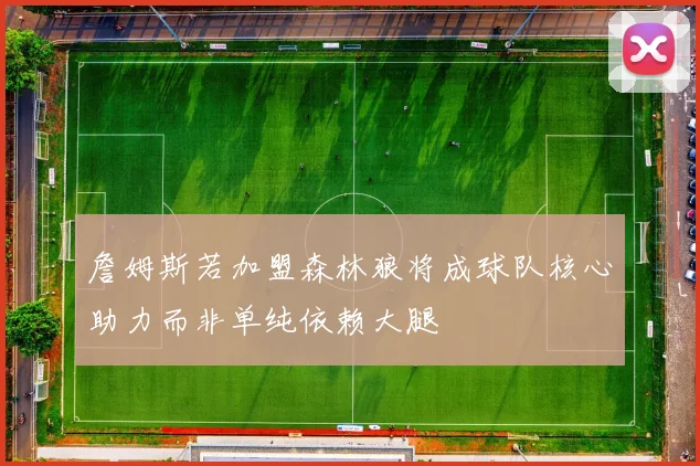 詹姆斯若加盟森林狼将成球队核心助力而非单纯依赖大腿