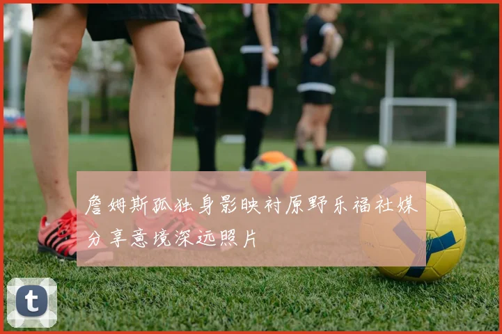 詹姆斯孤独身影映衬原野乐福社媒分享意境深远照片